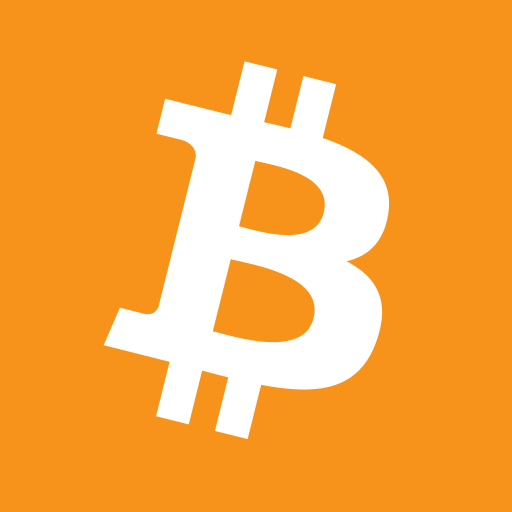 bitcoin bitcoin