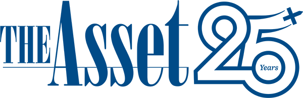 The Asset The Asset