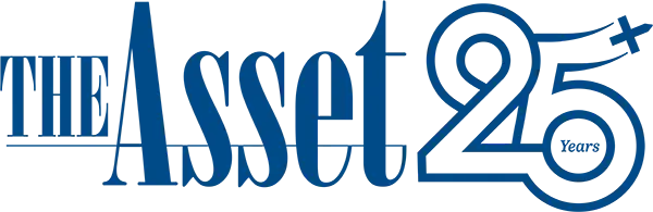 The Asset The Asset